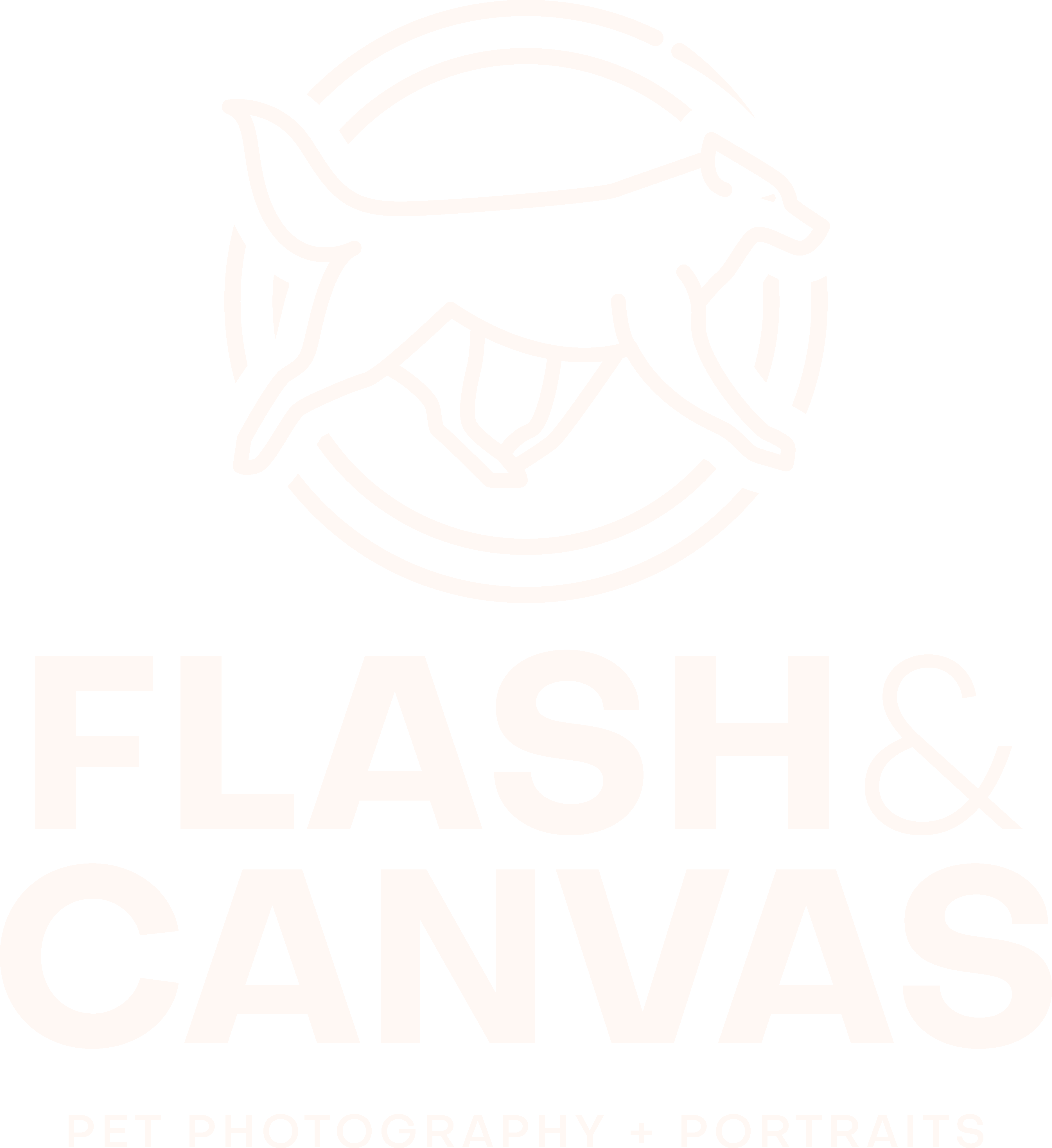 Flash & Canvas